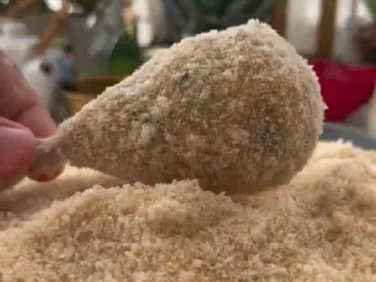 coxinha de frango empanado